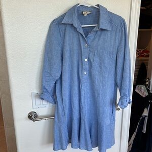 Tuckernuck Blue Button-Up Women's Dress